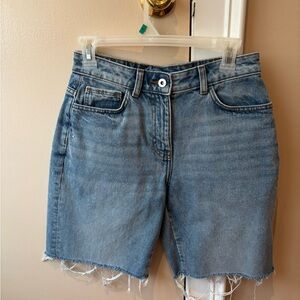Vintage Jorts